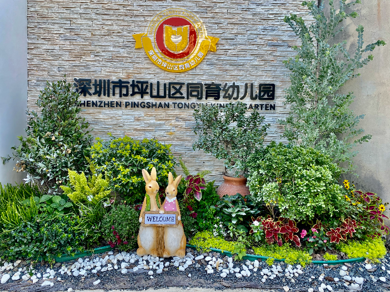 深圳市坪山区同育幼儿园