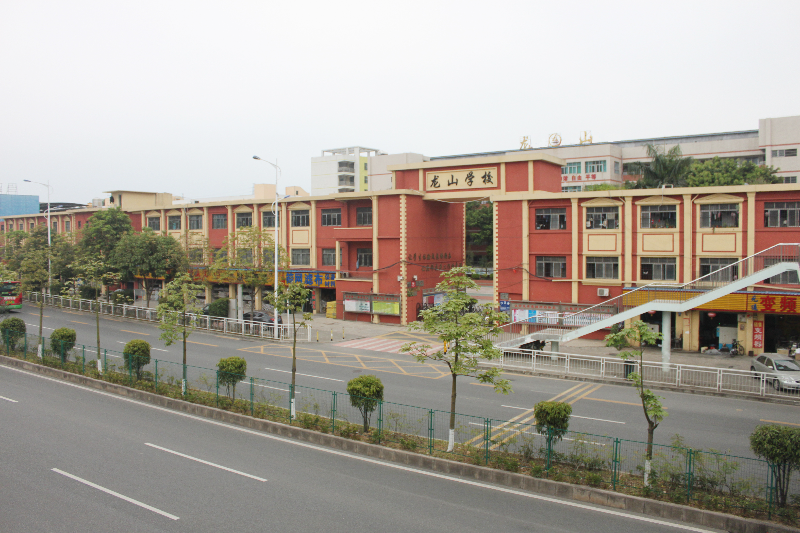 深圳市坪山区龙山学校